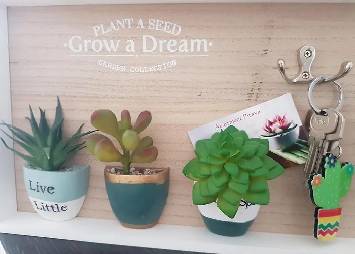 Apartment Pitaya