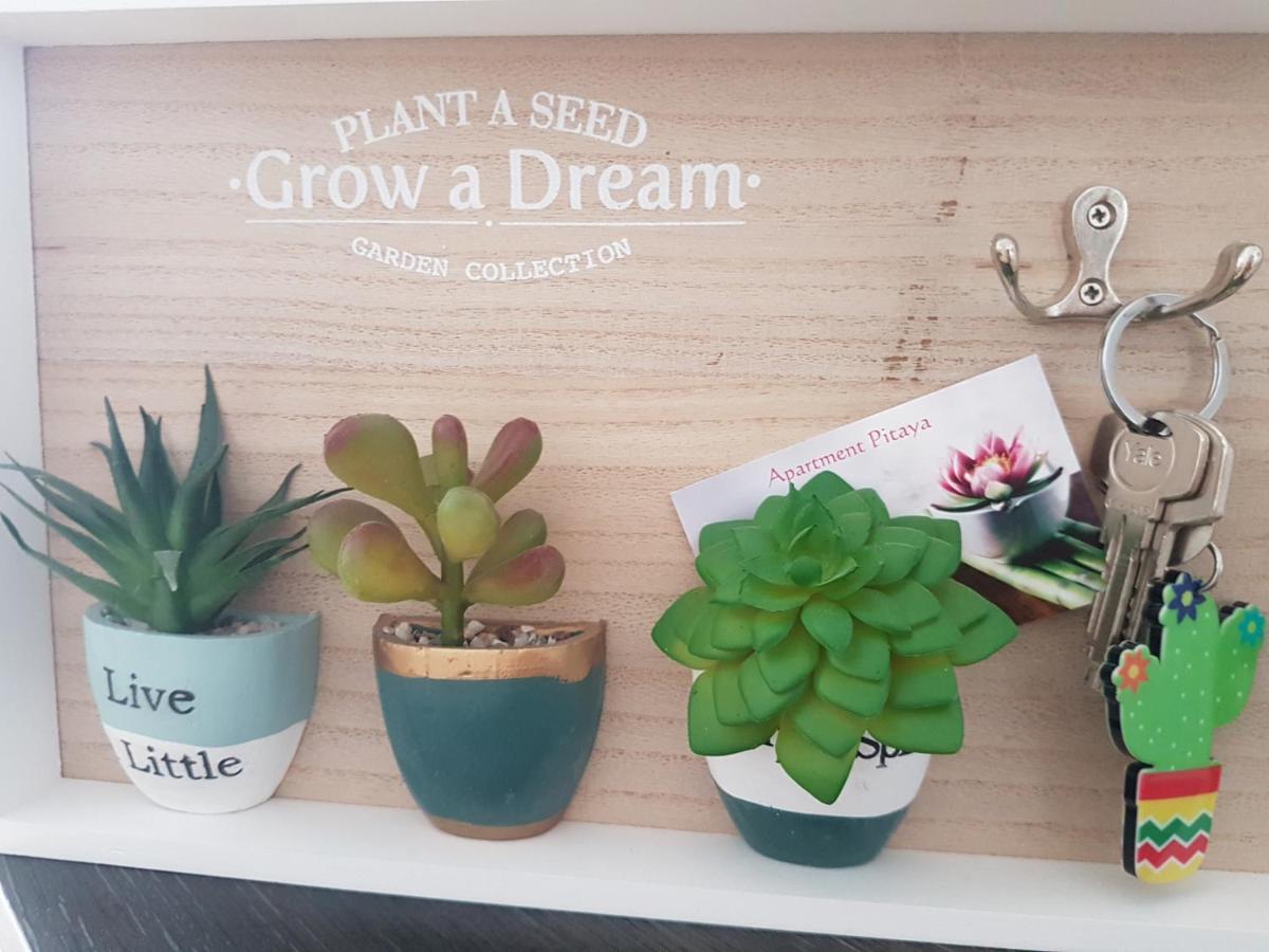 Apartament Pitaya *